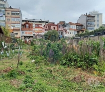 Terrenos Porto - Fotos para Porto-Terreno para venda (124851141-3)